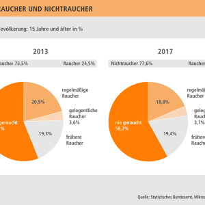 2013-2017_-Mikrozenus_Raucher_web@2x